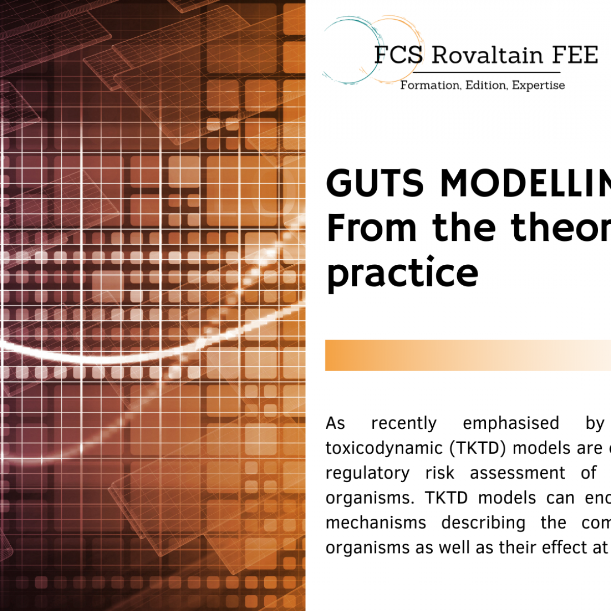 Training course on GUTS Modelling : From the Theory to the Practice